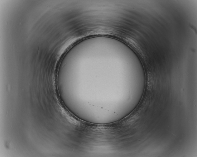 X0000101670942200807241437