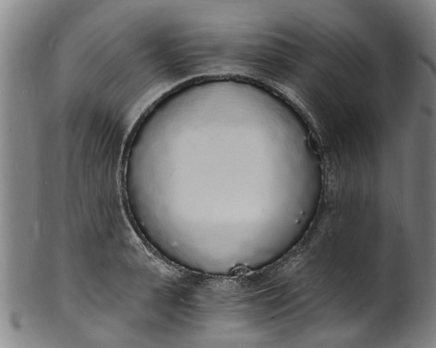 X0000101670943200807241437