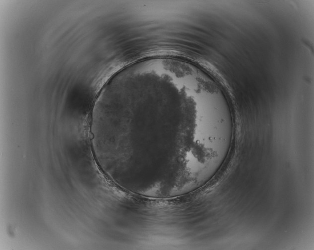 X0000101670945200807241437