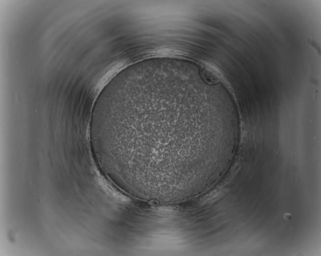 X0000101670946200807241437