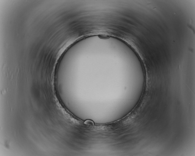 X0000101670949200807241437