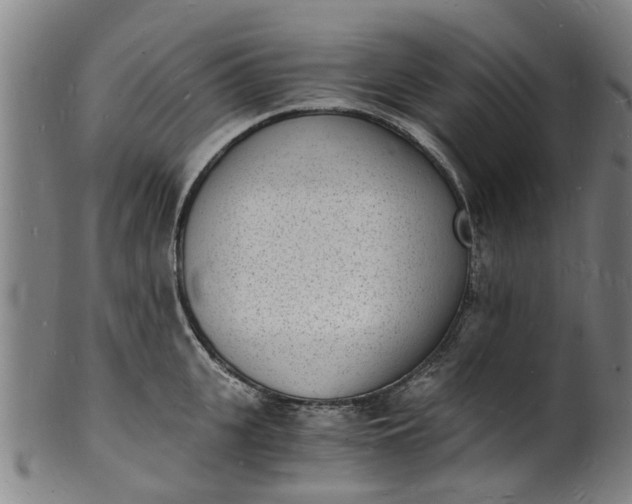 X0000101670951200807241437