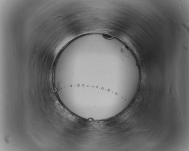X0000101670952200807241437
