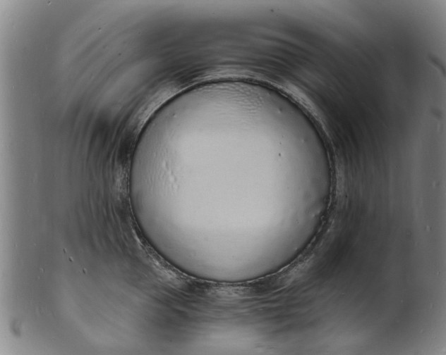 X0000101670953200807241437