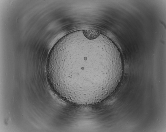 X0000101670954200807241437