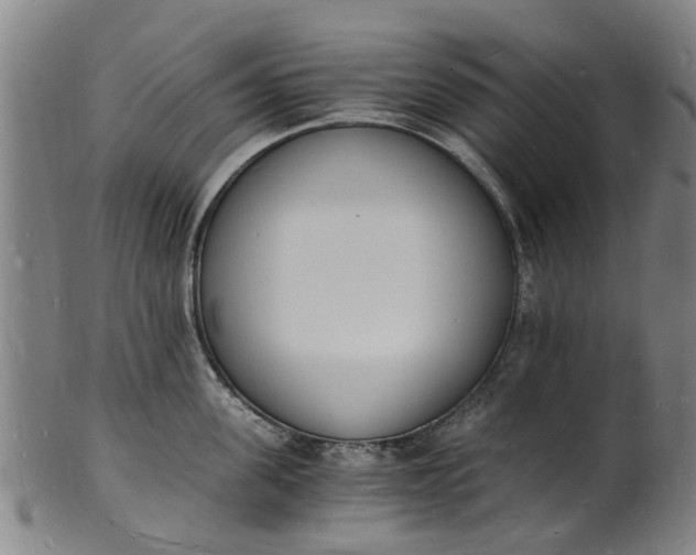 X0000101670955200807241437
