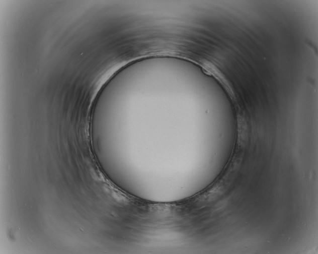 X0000101670956200807241437
