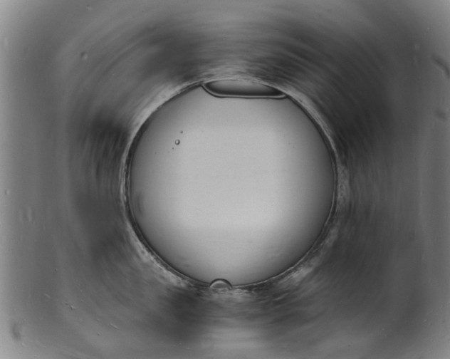 X0000101670957200807241437