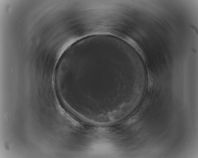 X0000101670958200807241437