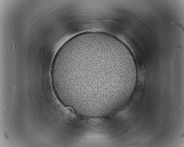 X0000101670959200807241437