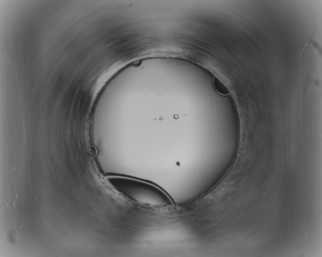 X0000101670960200807241437