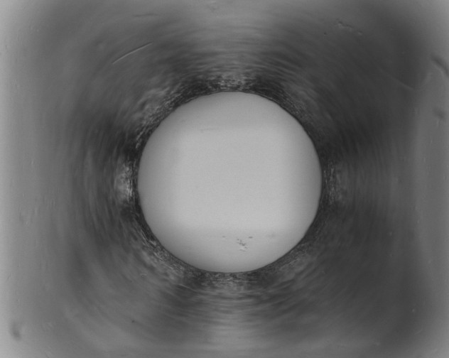 X0000101670962200807241437