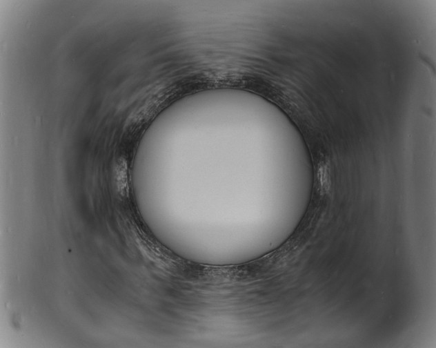 X0000101670963200807241437