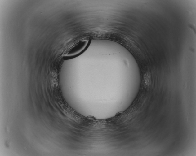 X0000101670964200807241436