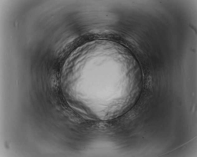 X0000101670966200807241436