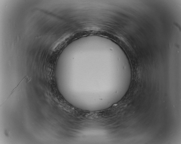 X0000101670967200807241436