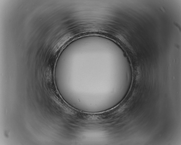 X0000101670969200807241436