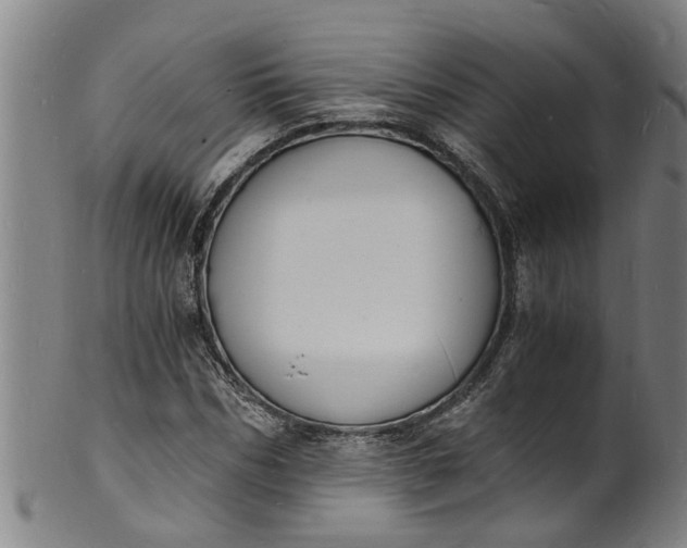 X0000101670970200807241436
