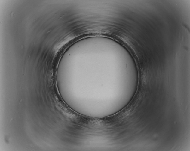 X0000101670971200807241436