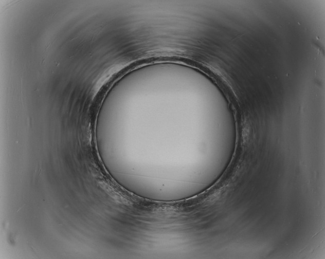 X0000101670973200807241436