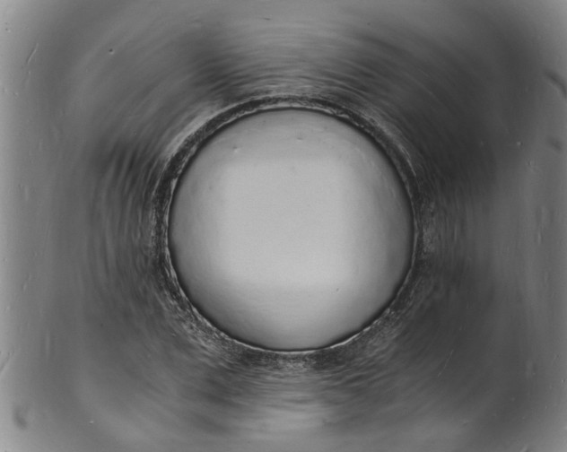 X0000101670975200807241436