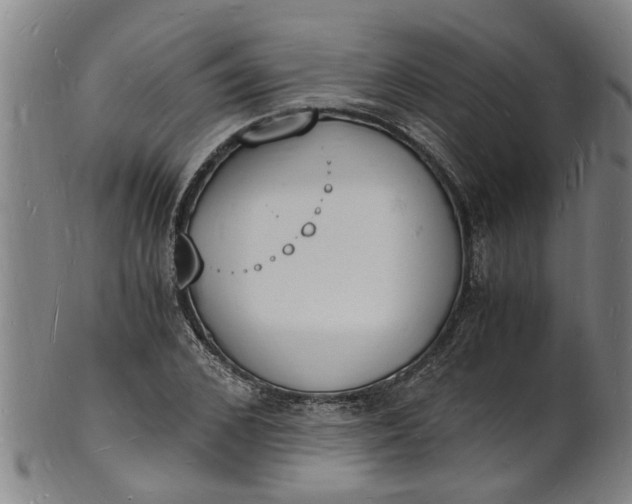 X0000101670976200807241436
