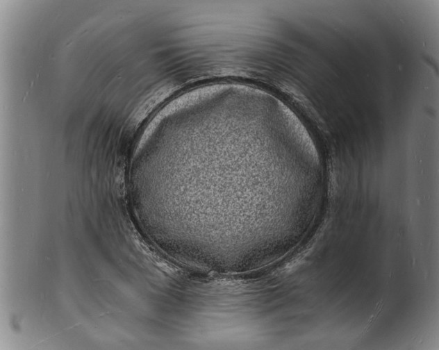 X0000101670977200807241436