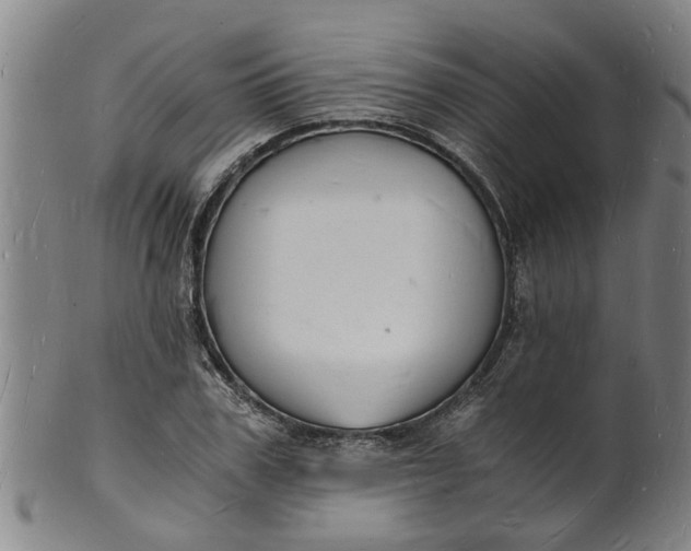 X0000101670979200807241436
