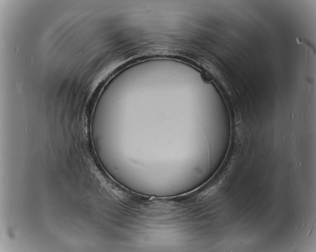 X0000101670981200807241436