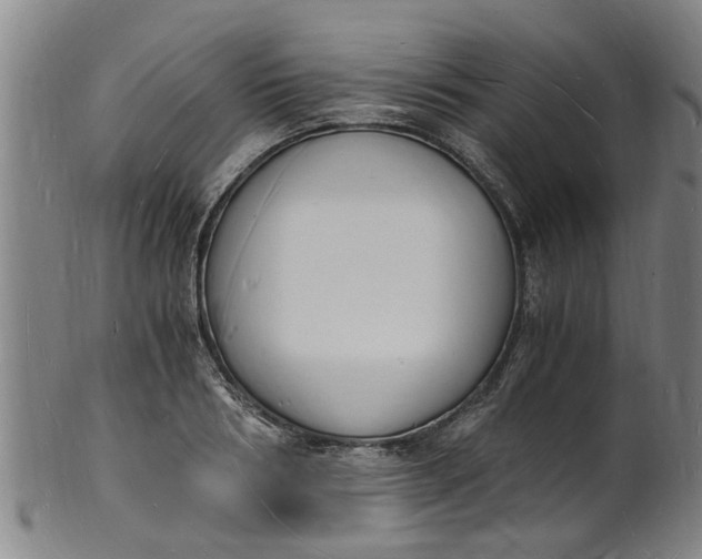 X0000101670986200807241436