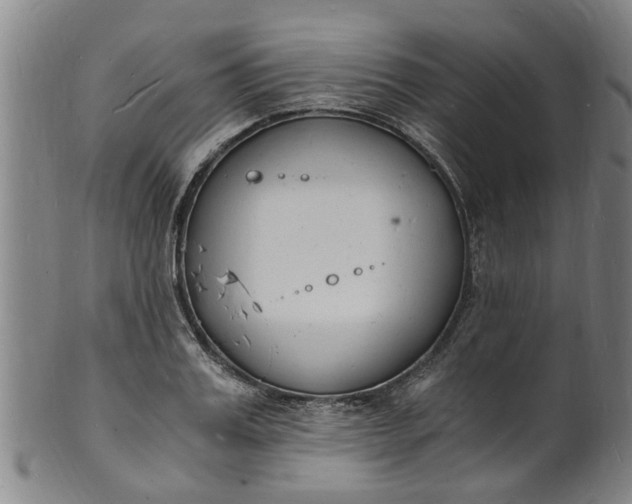 X0000101670987200807241436