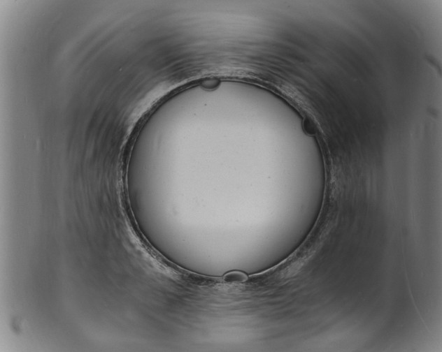 X0000101670989200807241436