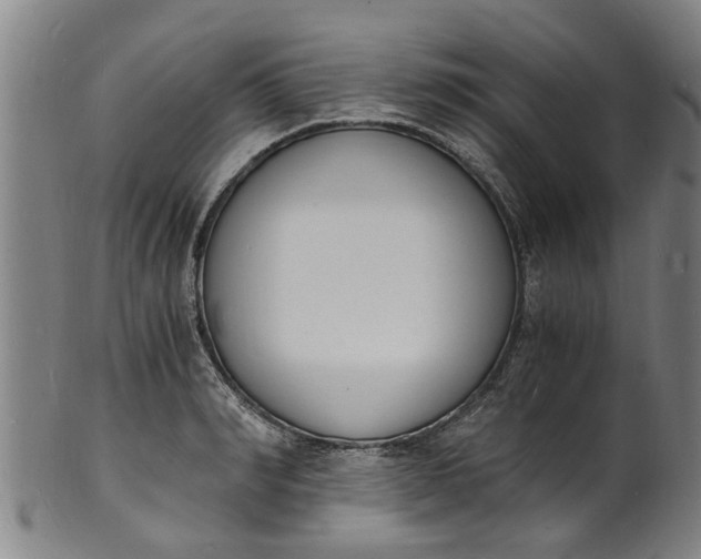 X0000101670990200807241436