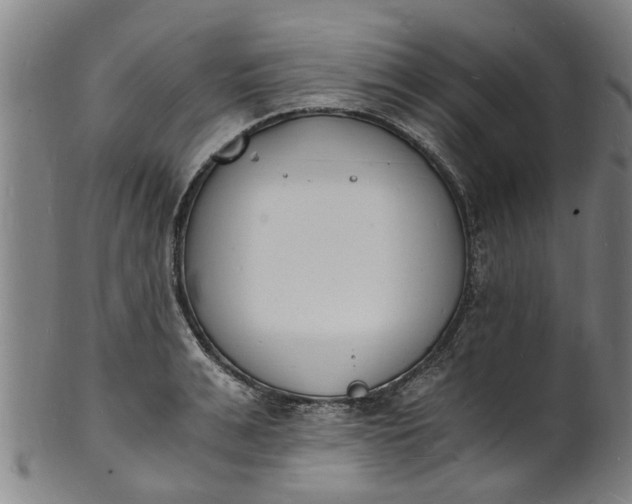 X0000101670991200807241436