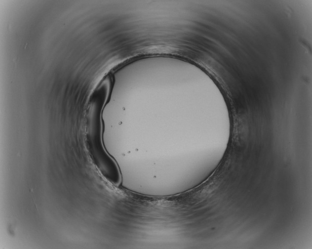 X0000101670992200807241436