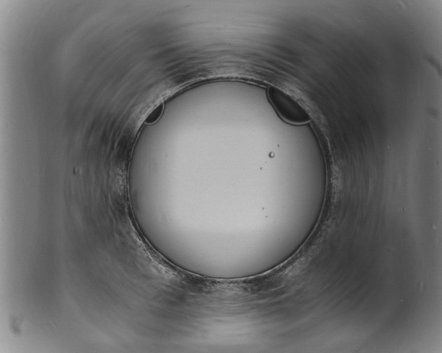X0000101670993200807241436