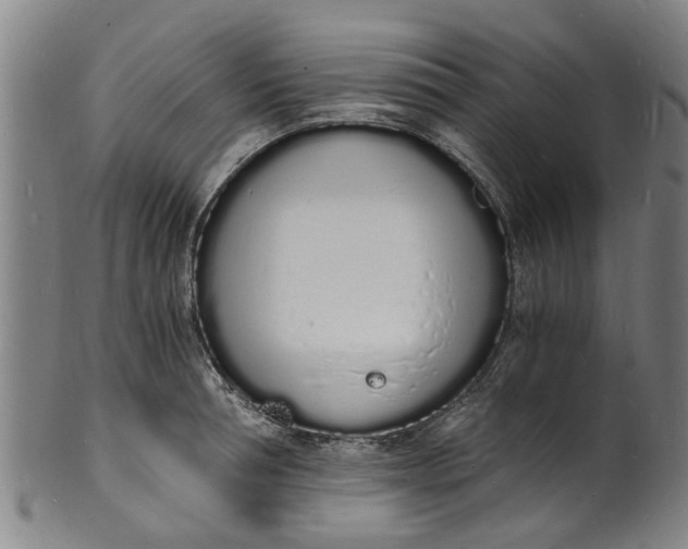 X0000101670994200807241436