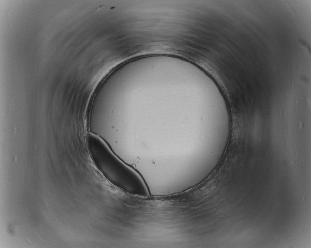 X0000101670996200807241436