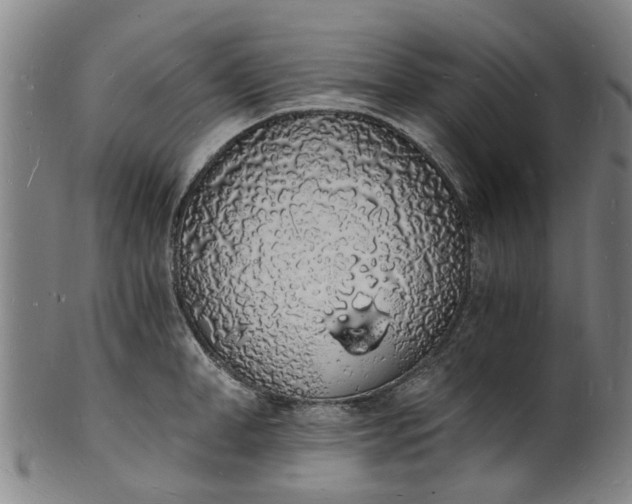 X0000101670998200807241436