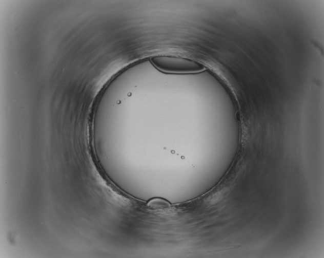 X0000101670999200807241436