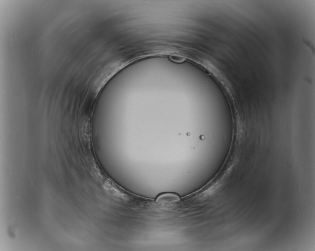 X0000101671001200807241436