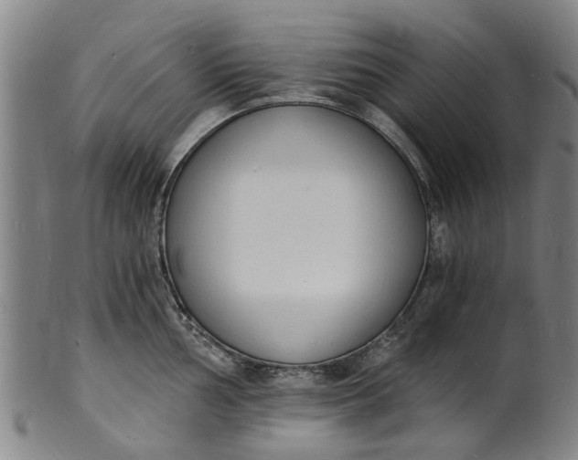 X0000101671002200807241436