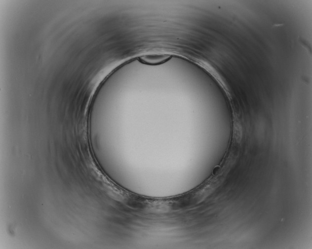 X0000101671004200807241436