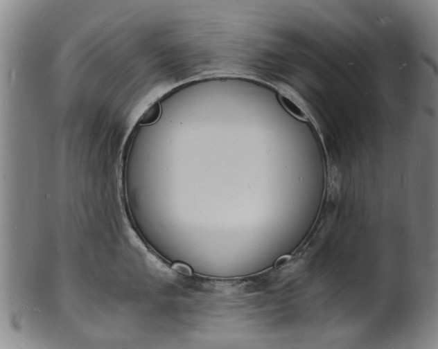 X0000101671005200807241436