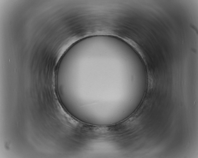 X0000101671006200807241436