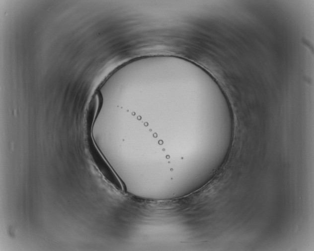 X0000101671008200807241436