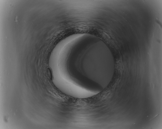 X0000101671009200807241435