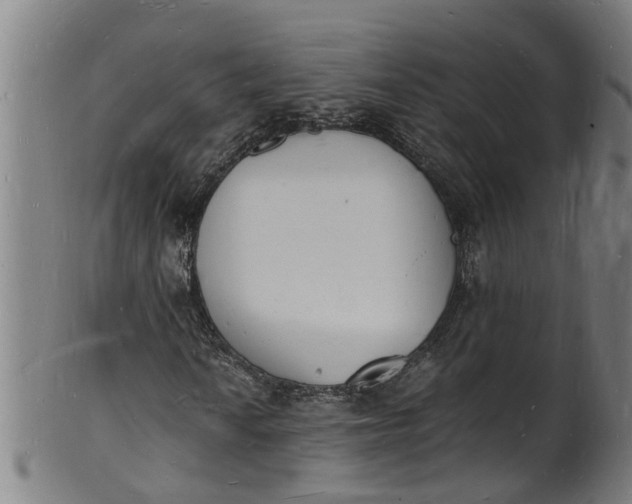 X0000101671010200807241435