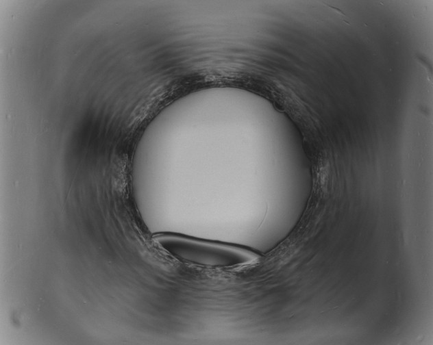 X0000101671012200807241435