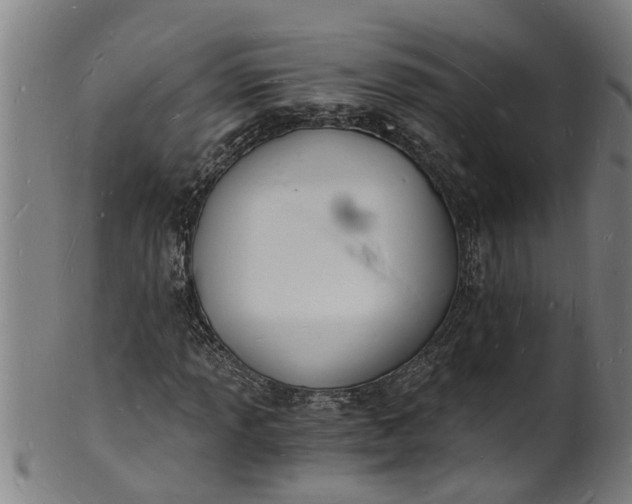 X0000101671013200807241435